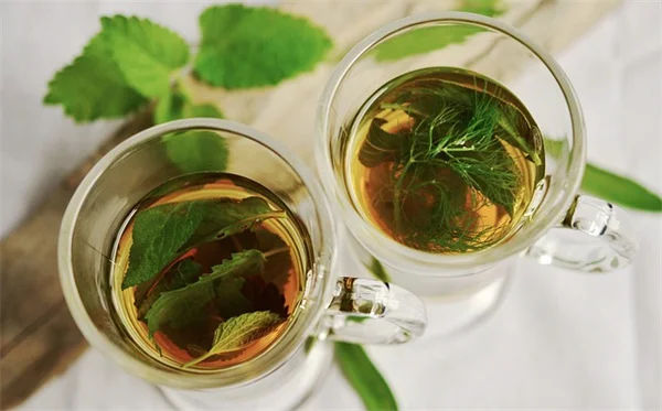 Low Light Indoor Herbs: My Best Tips for Success